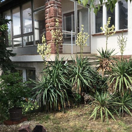 Alsooers Ch Apartment ภายนอก รูปภาพ